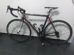 Focus CAYO  FULL CARBON, volledig SRAM FORCE 295 EURO, Fietsen en Brommers, Ophalen, 28 inch, Carbon, Meer dan 20 versnellingen