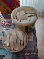 2,6 kg cuttlebone (+/- 200 stuks) voor 60 euro, Ophalen