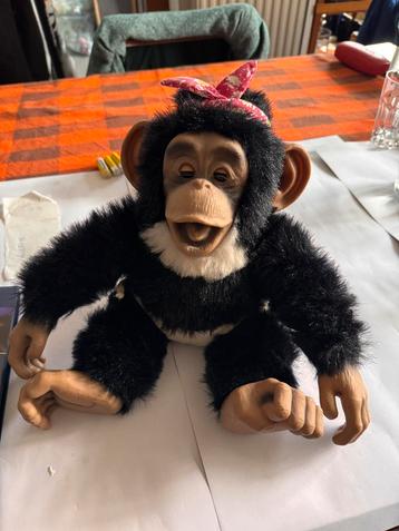 Dansende Chimpansee aap Tarkan beschikbaar voor biedingen