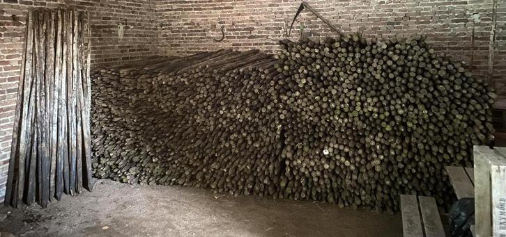 Houten palen gecreosoteerd, Tuin en Terras, Palen, Balken en Planken, Gebruikt, Palen, 250 cm of meer, Ophalen