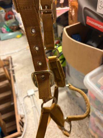 Halster kentucky beschikbaar voor biedingen