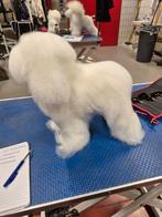 Dringend Hondmodellen, Ophalen