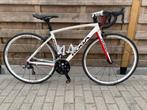 Dames Meisjes koers race fiets koga maat 49, Ophalen, 28 inch, 49 tot 53 cm, Zo goed als nieuw