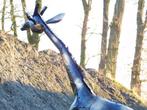 Handgemaakte Giraffe - 155 cm - Zwart met Gouden details - M, Antiek en Kunst, Ophalen of Verzenden