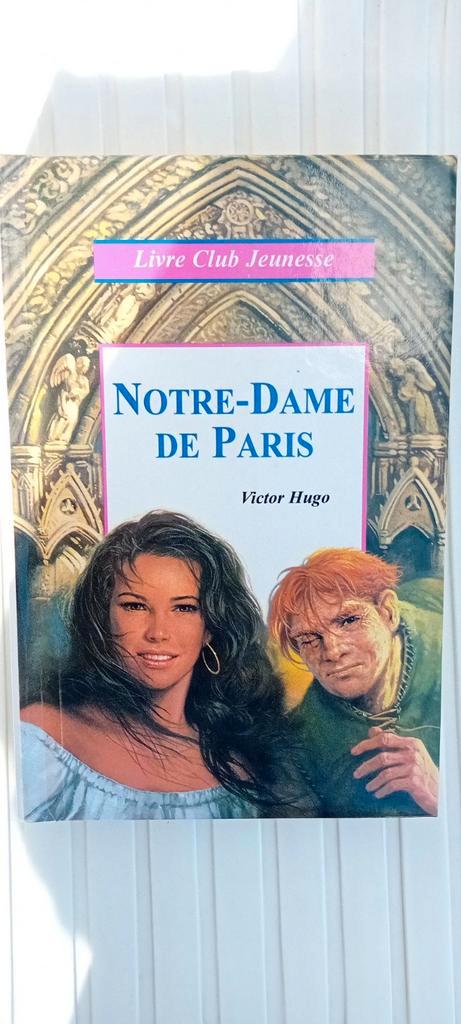 Notre-Dame de Paris de Victor Hugo, Livres, Livres régionalistes & Romans régionalistes, Neuf, Enlèvement ou Envoi