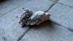 Aquarium steen 7,50€, Dieren en Toebehoren, Ophalen, Gebruikt, Plant(en), Steen of Hout