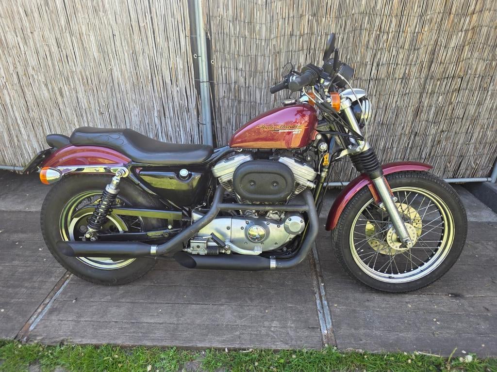 Harley Sportster 883 19 pouces !, Motos, Motos | Harley-Davidson, Particulier