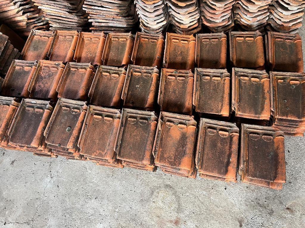 Ongeveer 250 Sterreberg rode dakpannen, Doe-het-zelf en Bouw, Dakpannen en Dakbedekking, Ophalen, Gebruikt, Steen of Klei, Dakpannen