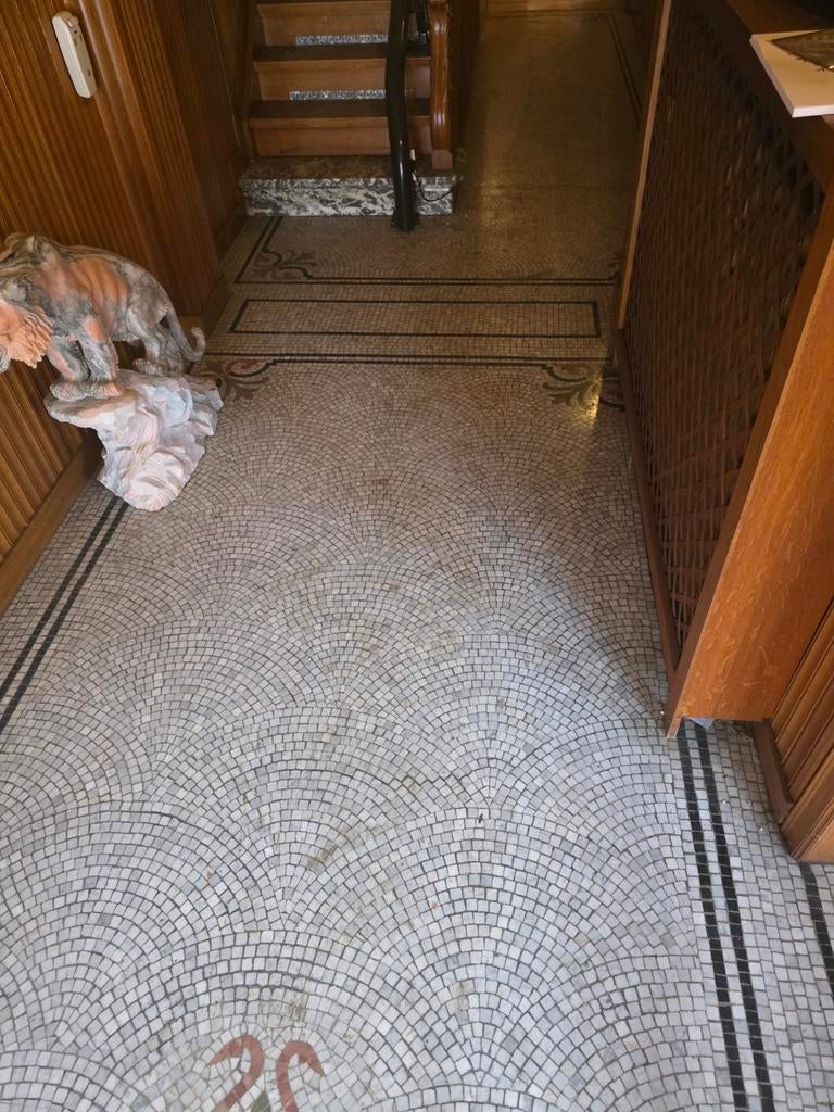 Prachtige mozaïek vloer, Enlèvement