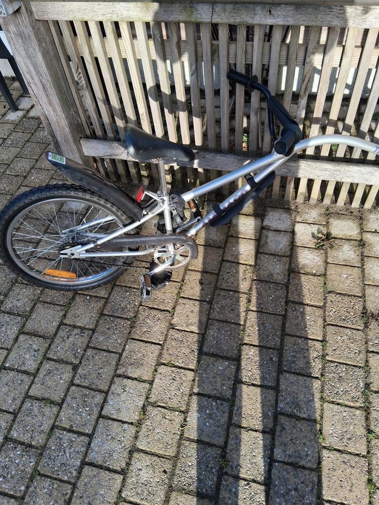 Aanhangfiets, Fietsen en Brommers, Fietsaccessoires | Aanhangwagens en Karren, Ophalen, Aanhangfiets