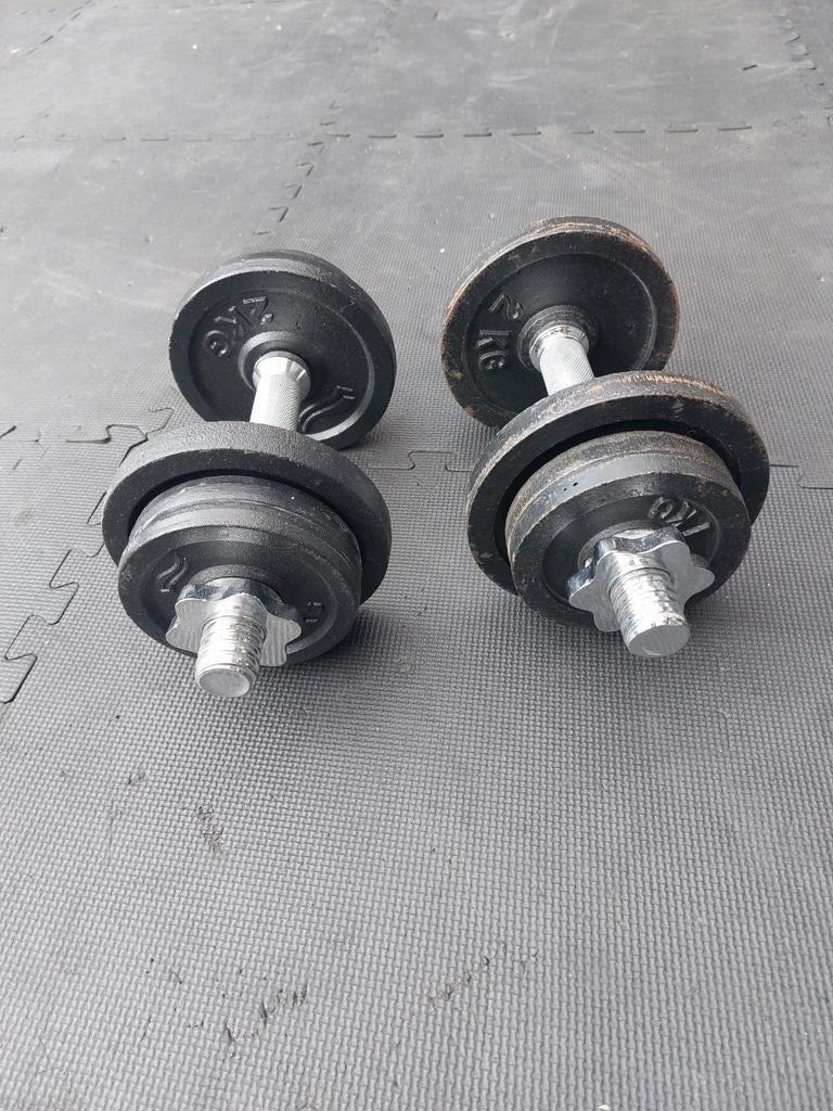 Set d'haltères 2x10 kg, Enlèvement, Comme neuf, Bras, Haltère
