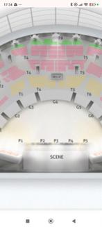 2 places concert Vanessa Paradis Zenit lille carré or, Tickets & Billets