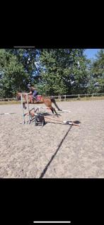 Draver te koop, Enlèvement ou Envoi, Utilisé, Récréation