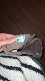 Paardrijbroek, Kinderen en Baby's, Kinderkleding | Maat 152, Ophalen, Gebruikt, Meisje, Sport- of Zwemkleding