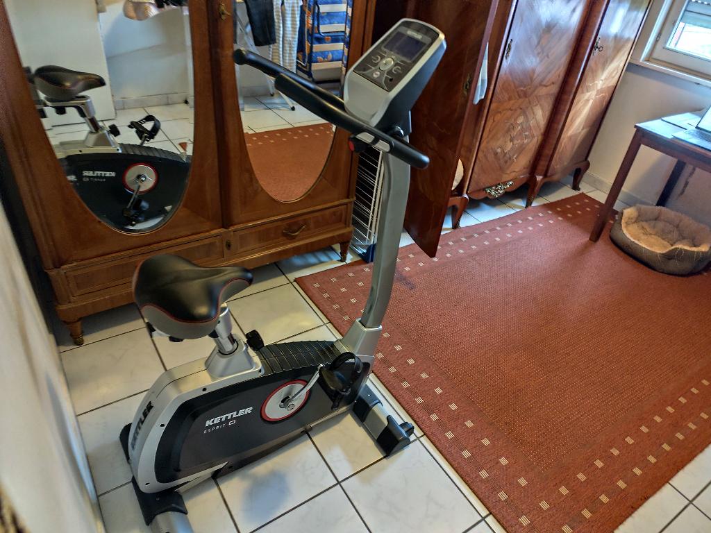 vélo d'appartement, Sports & Fitness, Équipement de fitness, Enlèvement, Utilisé, Autres types