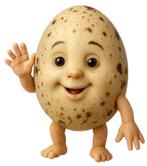 Broedeitjes gevraagd, Dieren en Toebehoren, Pluimvee