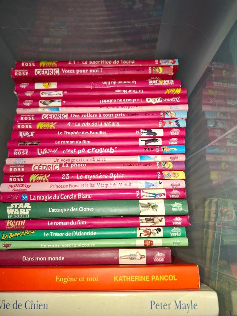 Livres enfants, Enlèvement