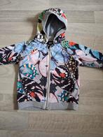 Jasje Molo maat 92, Kinderen en Baby's, Kinderkleding | Maat 92, Gebruikt, Ophalen of Verzenden, Jas, Molo