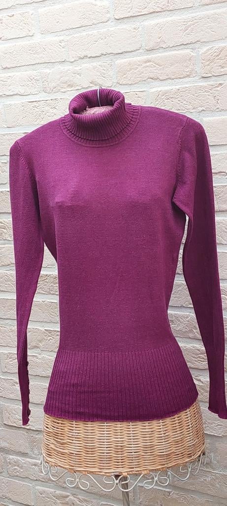 Rolkraagtrui maat s/m enjoy, Kleding | Dames, Truien en Vesten, Overige kleuren, Enjoy, Ophalen of Verzenden, Zo goed als nieuw