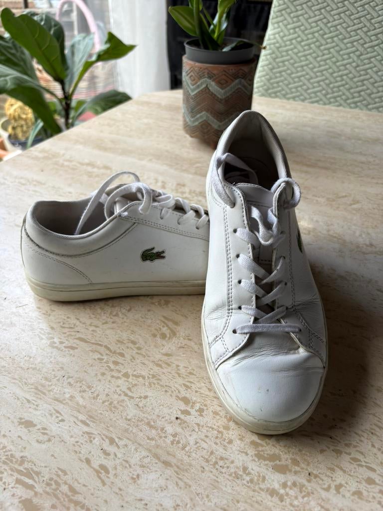 Basket lacoste, Enlèvement ou Envoi, Porté