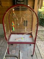 Papegaaienkooi, Ophalen, Gebruikt, Vogelkooi