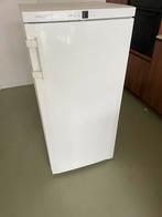 Liebherr Diepvries No Frost, Electroménager, Congélateurs, Congélateur, Classe énergétique A ou plus économe, Enlèvement, Utilisé