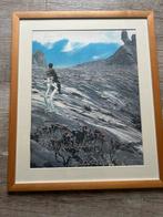 Jambe du genou Panamarenko, Enlèvement