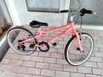 Kinderfiets Riverside 500, Fietsen en Brommers, Ophalen, Gebruikt, 20 inch of meer, Riverside