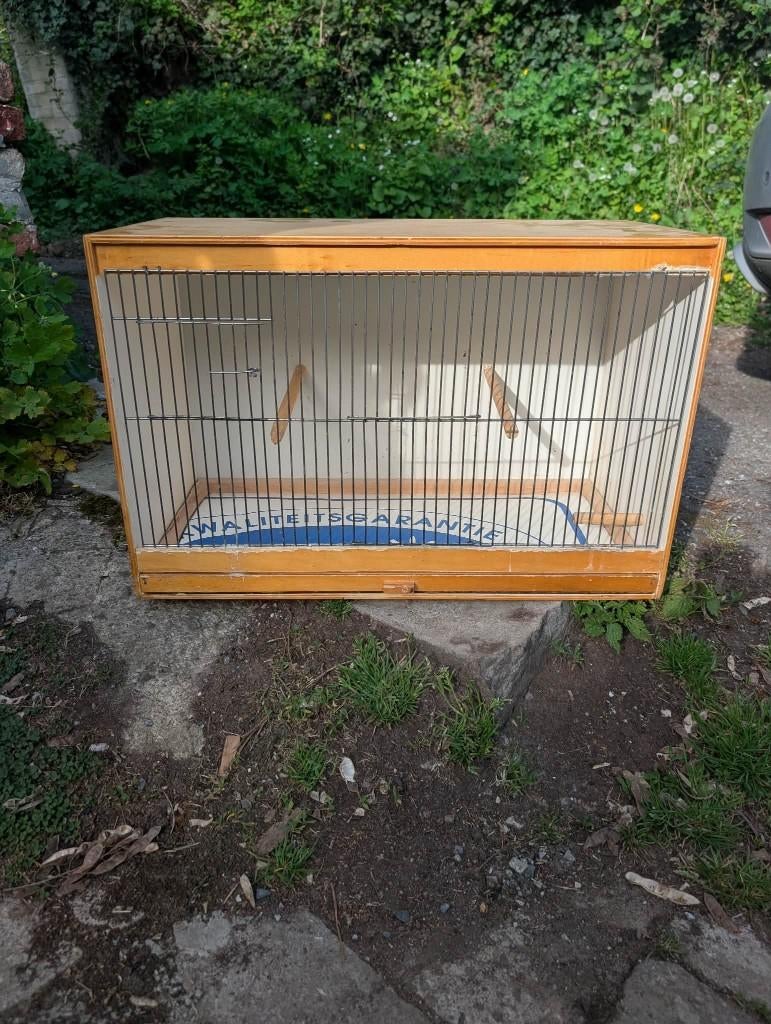 Cage oiseaux, Animaux & Accessoires, Oiseaux | Cages & Volières, Enlèvement, Utilisé, Bois, Cage d'élevage