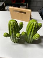 Decoratie cactus, Ophalen, Zo goed als nieuw