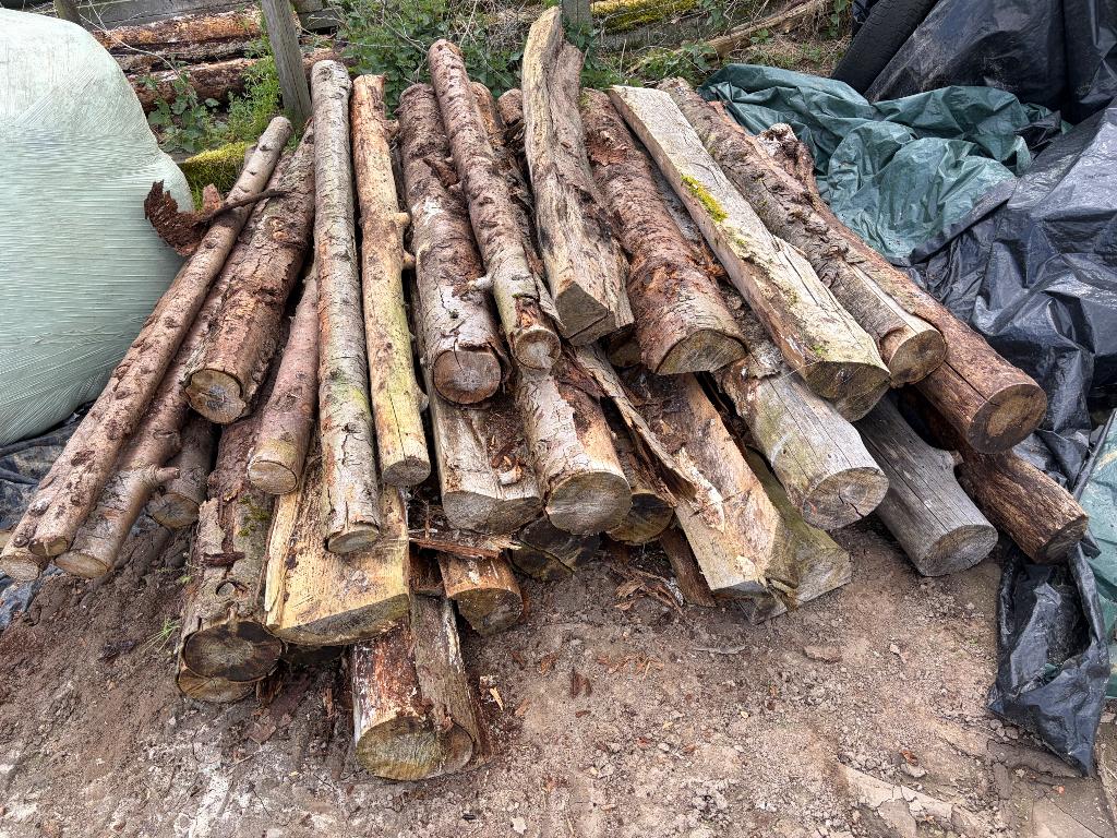 Dennenhout, Moins de 3 m³, Enlèvement, Autres essences de bois, Troncs d'arbres