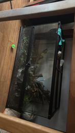 Reptiel terrarium, Dieren en Toebehoren, Ophalen, Zo goed als nieuw, Terrarium of Paludarium