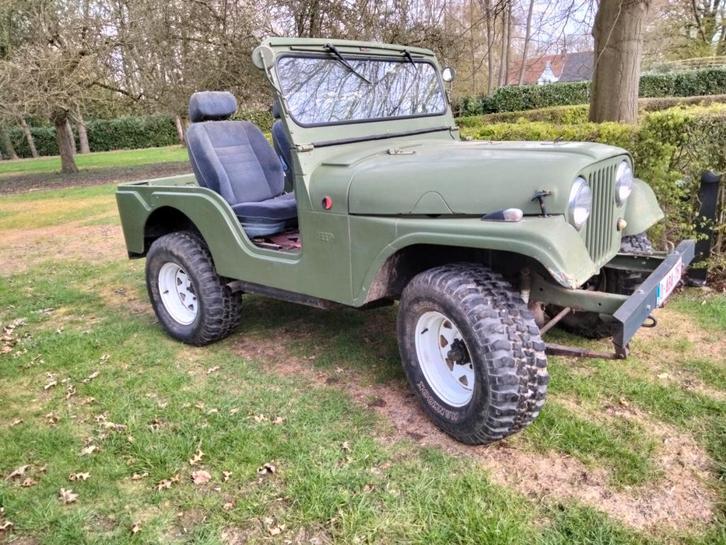 Willys Jeep Oldtimer, Autos, Oldtimers & Ancêtres, Particulier, Jeep, Diesel, Vert, Enlèvement