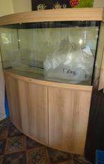 Juwel 260L aqaurium, Animaux & Accessoires, Enlèvement, Pompe, Filter, Juwel