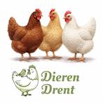 Legkippen ruimste aanbod uit de regio, Dieren en Toebehoren, Pluimvee