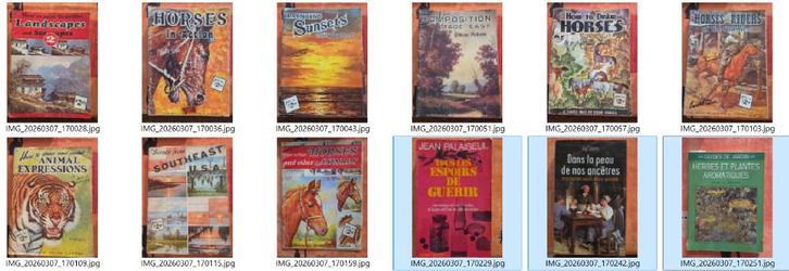 Lot 58 livres, Livres, Livres Autre, Utilisé, Enlèvement