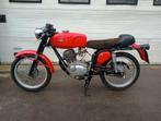 Gilera 124 5V, Motos, Jusqu'à 11 kW, Permis Moto A1 minimum, Sport, 1 cylindre