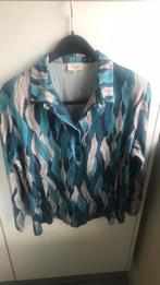 Truitje blouse maat xl, Kleding | Dames, Blouses en Tunieken, Ophalen of Verzenden, Zo goed als nieuw, Maat 46/48 (XL) of groter