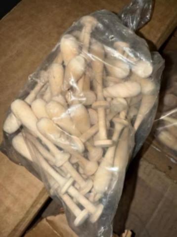 Kanklossjes Beuk (groot), Hobby en Vrije tijd, Ophalen, Nieuw, Klos(sen)