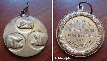 Medaille Varkensprijskamp Ministerie van Landbouw