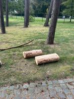 Gratis brandhout op te halen, Tuin en Terras, Brandhout, Ophalen