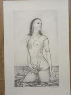 Marijan Kolesar, Antiek en Kunst, Ophalen of Verzenden