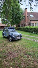 Oldtimer geit in perfecte staat, Auto's, Stof, 2CV, Overige kleuren, Grijs