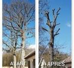 Elagage et abattage entretien de jardin, Ophalen of Verzenden