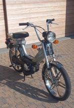 ☆ Honda Camino ☆ VLC 1982 Deluxe Sport ♧ The Holy Grail ♧, Enlèvement, Utilisé, 49 cm³