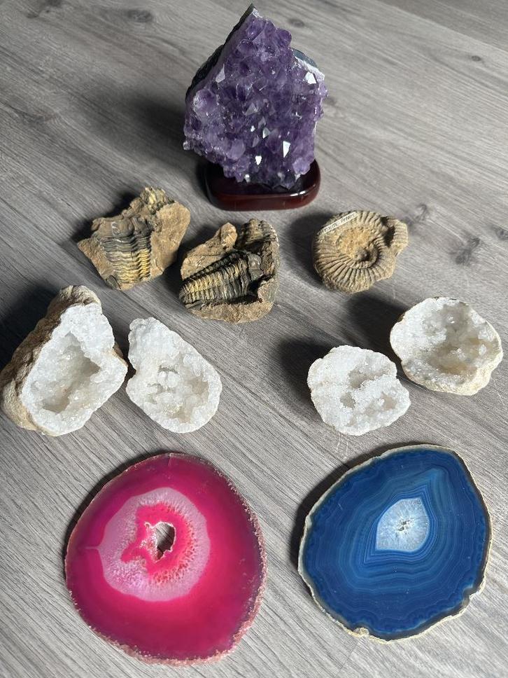 Ammonietfossielen/trilobieten en halfedelstenen - 40€, Verzamelen, Mineralen en Fossielen, Mineraal, Ophalen of Verzenden