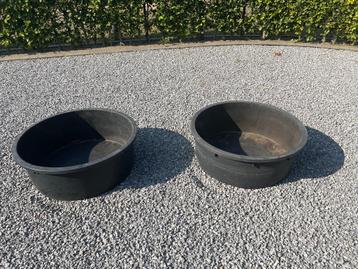 Plantenbak beschikbaar voor biedingen