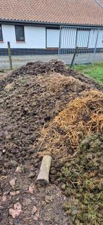 Gratis paardenmest, Ophalen