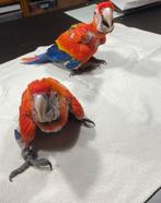 Tamme baby Geelvleugel Ara's popjes met DNA eb getest op all, Meerdere dieren, Papegaai, Geringd