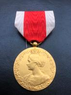 Black beans medaille nationaal comite national ww1, Ophalen of Verzenden
